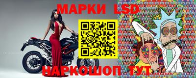 гидра Будённовск