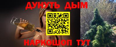 гидра Будённовск