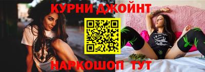 гидра Будённовск