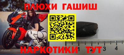 гидра Будённовск