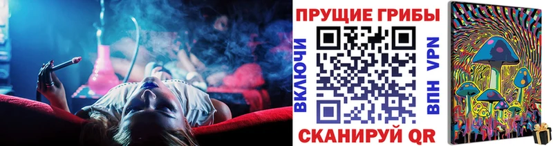 ОМГ ОМГ   Лянтор  Псилоцибиновые грибы прущие грибы 